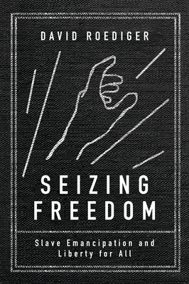 Seizing Freedom: Slave Emancipation and Liberty for All - Roediger, David R