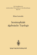 Semisimpliziale Algebraische Topologie