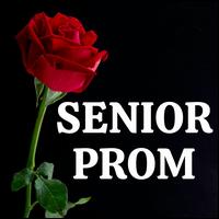 Senior Prom 2021 - Various Artists