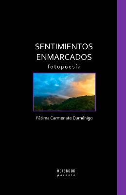 Sentimientos Enmarcados: Fotopoes?a - Cruz-Villalobos, Luis (Editor), and Lavados, Toms (Preface by), and Carmenate Dum?nigo, Ftima