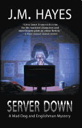 Server Down