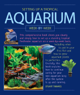 Setting Up a Tropical Aquarium: Week by Week