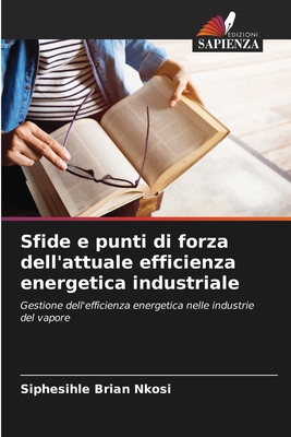 Sfide e punti di forza dell'attuale efficienza energetica industriale - Nkosi, Siphesihle Brian