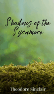 Shadows of the Sycamore