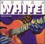 Shake 'Em on Down [New Rose] - Bukka White