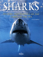 Sharks: History and Biology of the Lords of the Seas