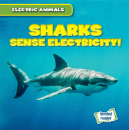 Sharks Sense Electricity!