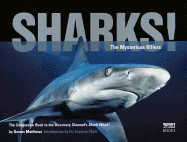 Sharks!: The Mysterious Killers