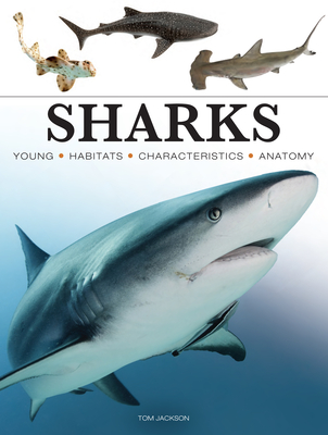 Sharks & Underwater Predators - Jackson, Tom