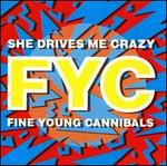 She Drives Me Crazy [3 Tracks] - Fine Young Cannibals