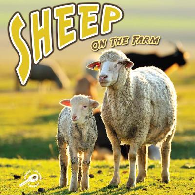 Sheep on the Farm - Mattern, Joanne