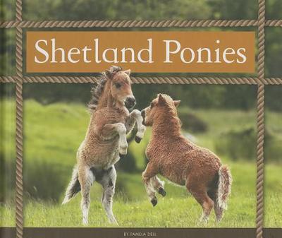 Shetland Ponies - Dell, Pamela