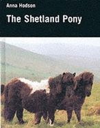 Shetland Pony (Hodson)