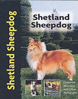 Shetland Sheepdog - Schwartz, Charlotte