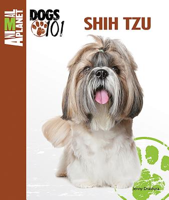 Shih Tzu - Drastura, Jenny