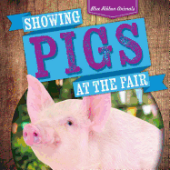 Showing Pigs at the Fair