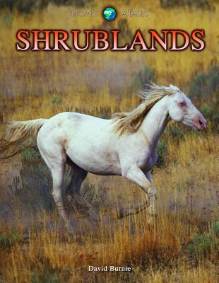 Shrublands - Burnie, David