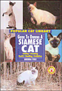 Siamese Cat