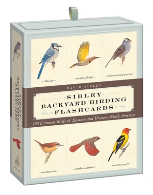 Sibley Backyard Birding Flashcards - Sibley, David Allen