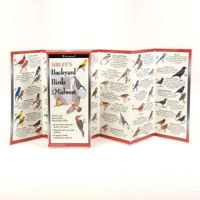 Sibley's Backyard Birds of the Upper Midwest - 