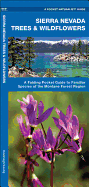 Sierra Nevada Trees & Wildflowers: A Folding Pocket Guide to Familiar Montane Forest Species