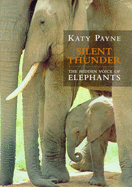 Silent Thunder: Hidden Voice of Elephants
