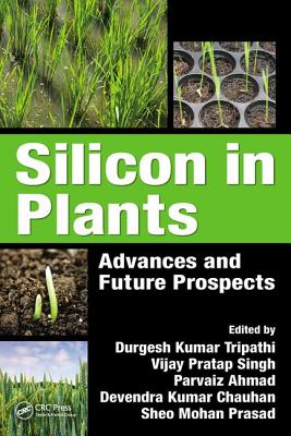 Silicon in Plants: Advances and Future Prospects - Tripathi, Durgesh Kumar (Editor), and Singh, Vijay Pratap (Editor), and Ahmad, Parvaiz (Editor)