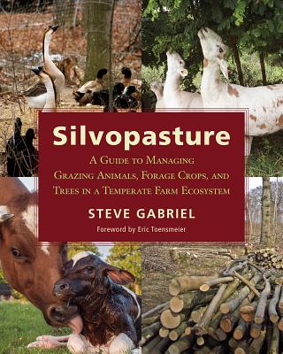 Silvopasture: A Guide to Managing Grazing Animals, Forage Crops, and Trees in a Temperate Farm Ecosystem - Gabriel, Steve, and Toensmeier, Eric (Foreword by)