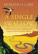 Single Swallow, A Following An Epic Journey From South Africa To