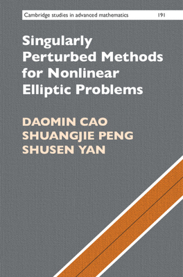 Singularly Perturbed Methods for Nonlinear Elliptic Problems - Cao, Daomin, and Peng, Shuangjie, and Yan, Shusen