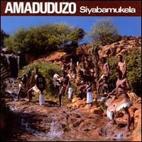 Siyabamukela - Amaduduzo