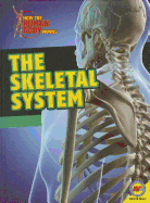 Skeletal System