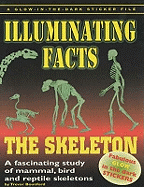 Skeletons