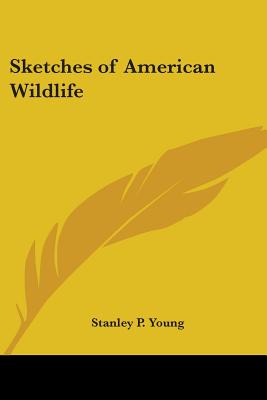 Sketches of American Wildlife - Young, Stanley P