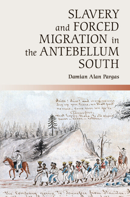 Slavery and Forced Migration in the Antebellum South - Pargas, Damian Alan