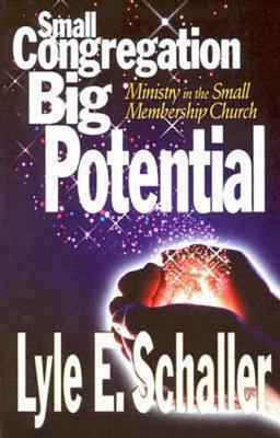 Small Congregation, Big Potential - Schaller, Lyle E