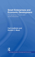 Small Enterprises and Economic Development: The Dynamics of Micro and Small Enterprises