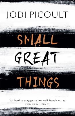Small Great Things: The bestselling novel you won't want to miss - Picoult, Jodi