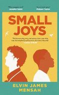 Small Joys: The most moving and uplifting debut novel of 2023