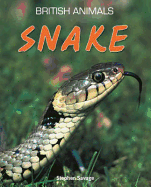 Snake. Stephen Savage