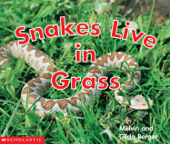 Snakes Live in Grass