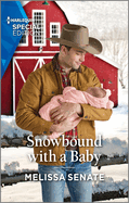 Snowbound with a Baby