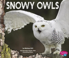 Snowy Owls