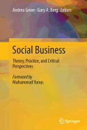 Social Business: Theory, Practice, and Critical Perspectives