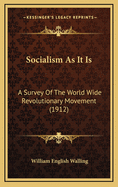 Socialism as It Is: A Survey of the World Wide Revolutionary Movement (1912)