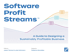 Software Profit Streams(TM): A Guide to Designing a Sustainably Profitable Business