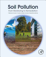 Soil Pollution: From Monitoring to Remediation