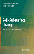 Soil-Subsurface Change: Chemical Pollutant Impacts