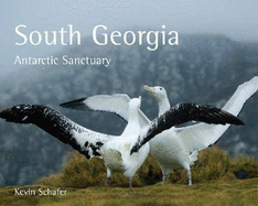 South Georgia: Antarctic Sanctuary