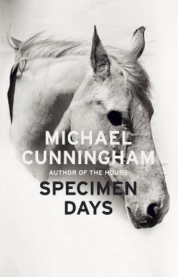 Specimen Days - Cunningham, Michael
